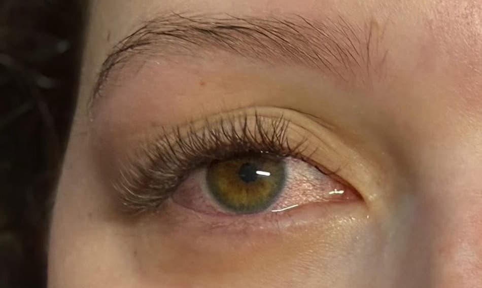Classic Brown Set